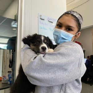 Meet your Posher, Evita